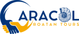 Caracol logo main